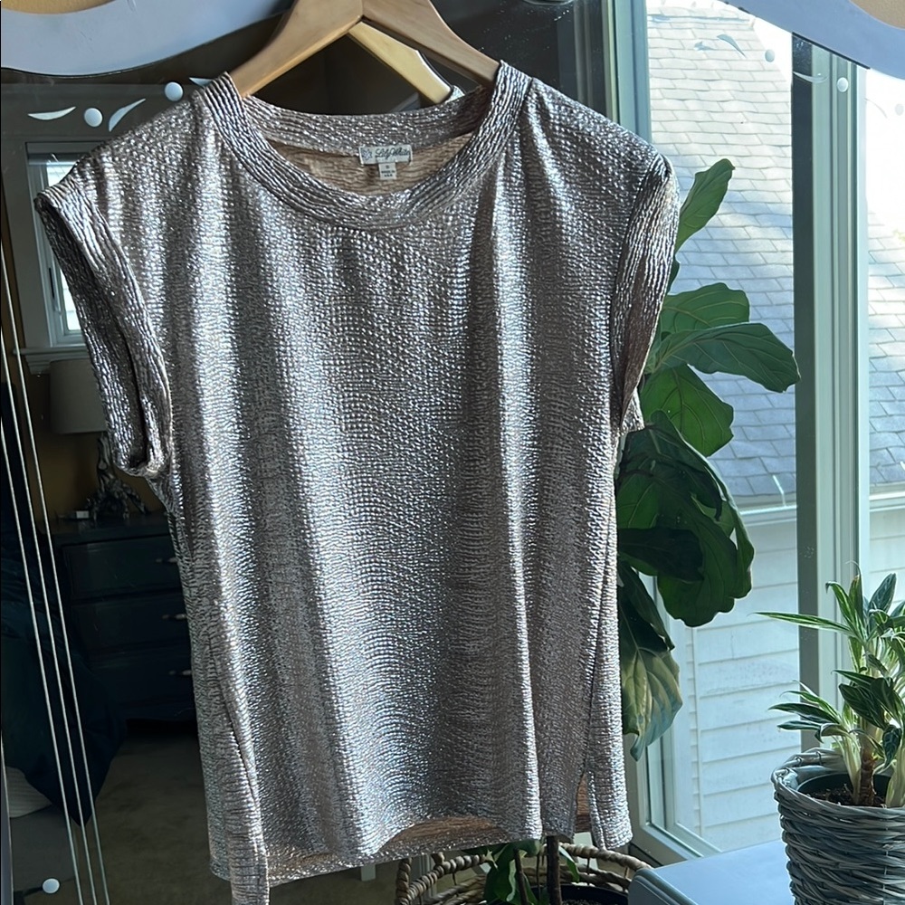 Metallic Short Sleeve Top